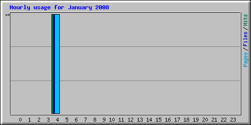 Hourly usage for January 2008